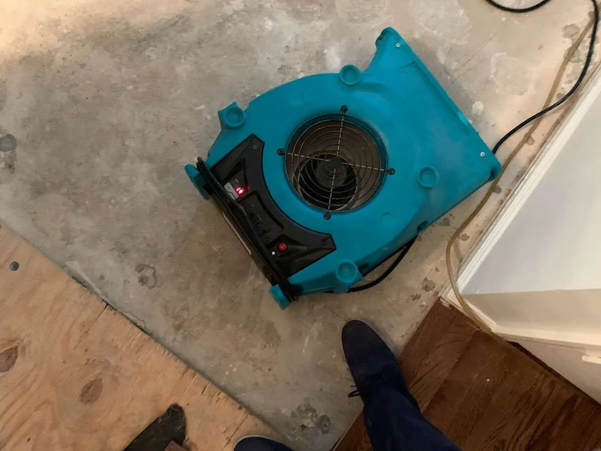 Air mover drying subfloor during Leak Detection & Repair in Fife